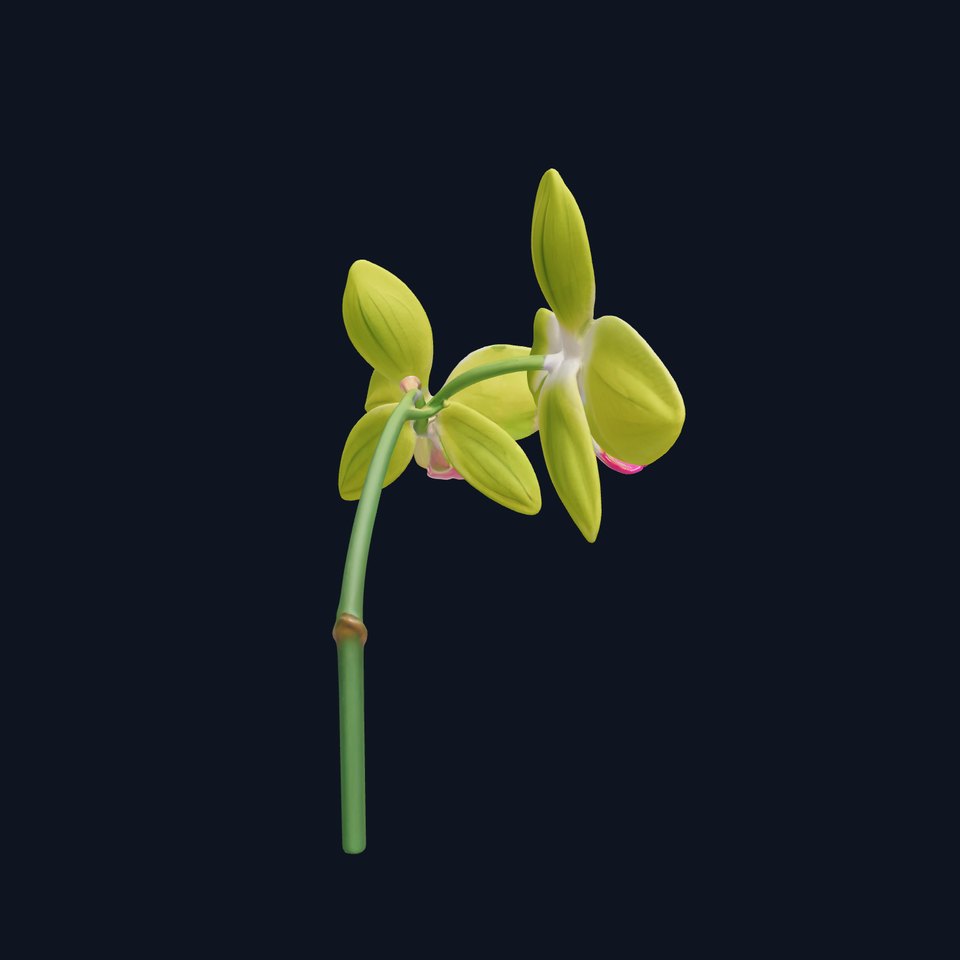 Orchid Flower D Model Pack with PBR Textures